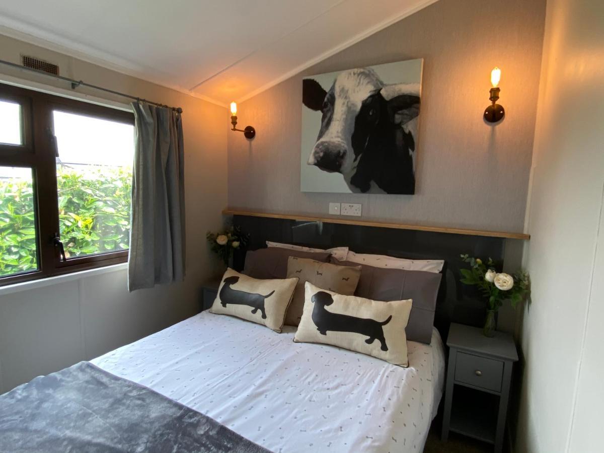 Rew Farm Country & Equestrian Accommodation - Sunrise Lodge Melksham Extérieur photo