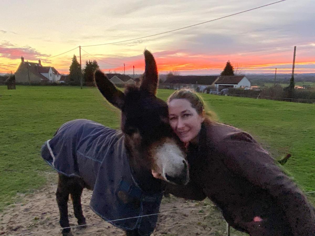 Rew Farm Country & Equestrian Accommodation - Sunrise Lodge Melksham Extérieur photo
