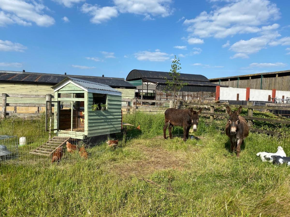 Rew Farm Country & Equestrian Accommodation - Sunrise Lodge Melksham Extérieur photo