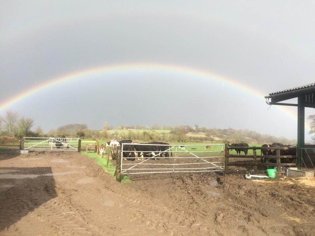 Rew Farm Country & Equestrian Accommodation - Sunrise Lodge Melksham Extérieur photo