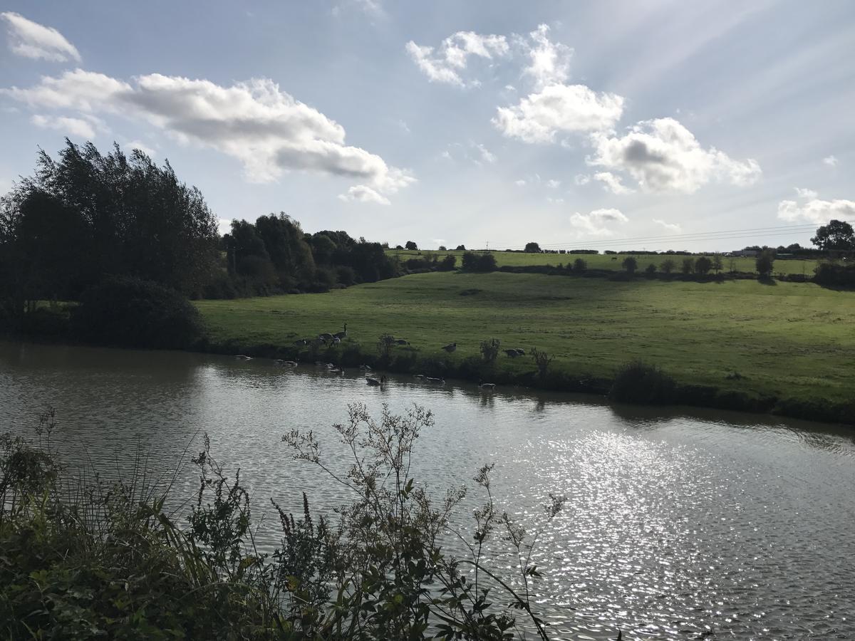 Rew Farm Country & Equestrian Accommodation - Sunrise Lodge Melksham Extérieur photo